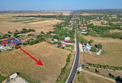 AZURA Imobiliare - Teren la DN7 langa Gaesti, Crangurile - Badulesti - 7