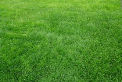 Constanta- teren intravilan - 1