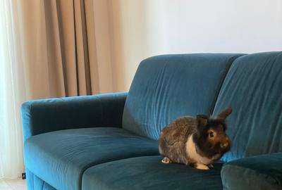 Novum Politehnica Iuliu Maniu | 2Min Walk Poli Metro | 600EUR+VAT | MS077-Poli - 1