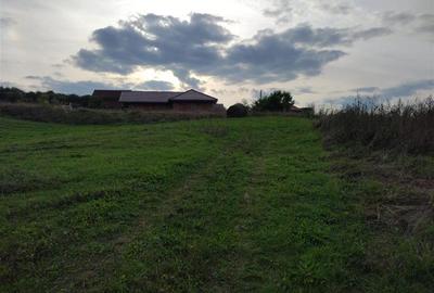 Teren intravilan ?n Deusu, comuna Chinteni, la strada principala - 1