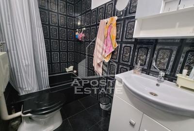 Casa individuala de vanzare, cu 4 camere si 2 garaje, zona Lipovei - 20