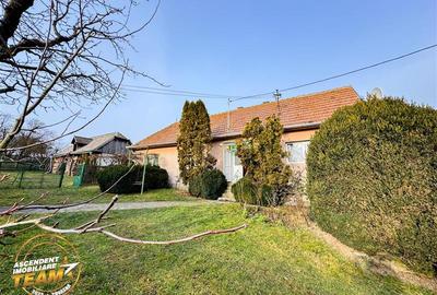 FILM! 5.000mp teren intravilan cu casuta rustica, Dalnic, Covasna - 6