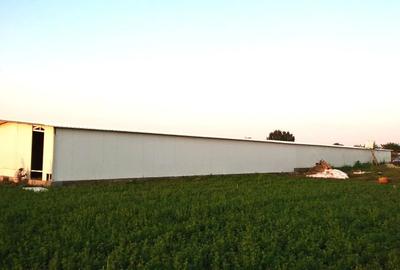 Ferma de gaini ouatoare in sistem free-range | 45.000 mp teren - 1