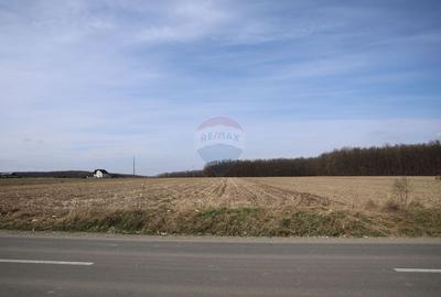 Teren 9,740mp Suceava / Strada Principala - 2