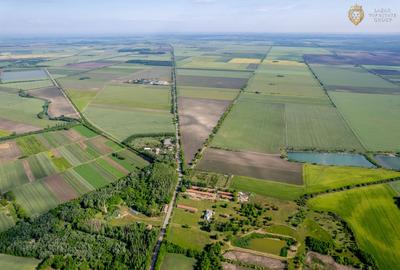 Cladire industriala de vanzare cu potential 3,5 ha in Batania - 16