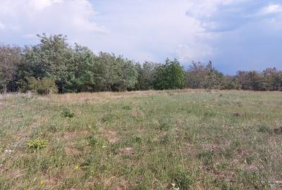 Teren intravilan Piatra Neamt - 2