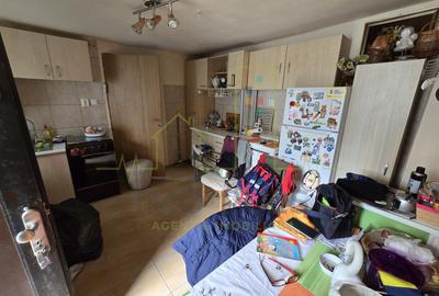 Elisabetin. Disponibila imediat. Curte. 2 Corpuri de cladire. - 10
