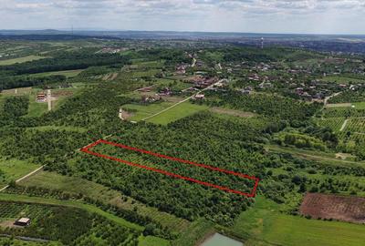 TEREN INTRAVILAN in Paleu - 1