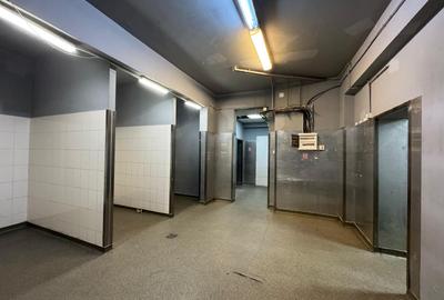 Spatiu comercial de inchiriat - Pasajul Doamna Ghica - 7