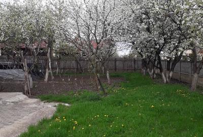 Vând grădină în Tg.Frumos - 6