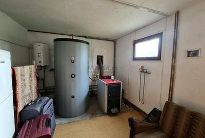 Vila + Afacere 15.000mp Clinceni - 27