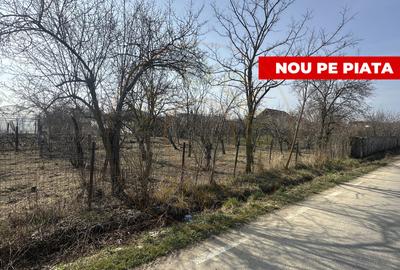 Teren 800 mp intravilan str. Olteni, Mosoaia, Arges - 2