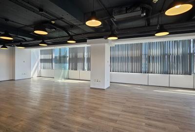 Spatiu Birou Cismigiu- Domus I - 3