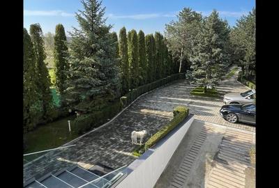 Snagov ghermanesti  vila mobilata  lux 5 cam 5 bai - 8
