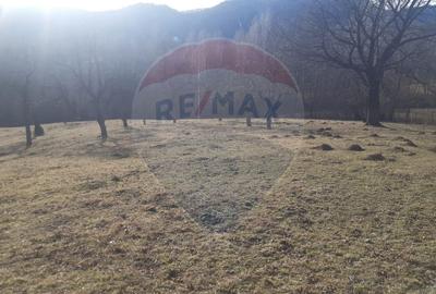 Teren 10,279 mp Bran- Predelut / Strada Pe Tarina nr. 70A - 12