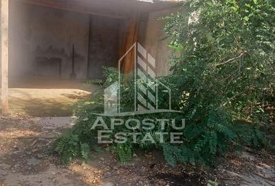 Casa individuala in Cruceni ,la granita cu Serbia - 10
