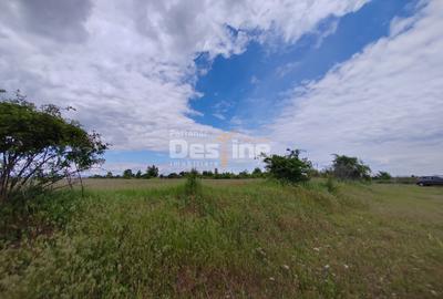 Teren extravilan, 114000 mp, Parc industrial West Park - 13