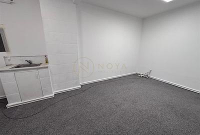 Vila individuala de vanzare in zona Banu Manta Ion Mihalache - 17