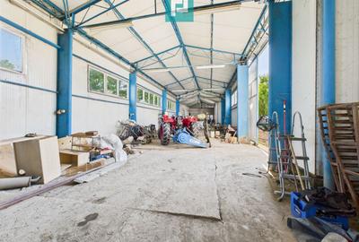 Clădire cu 5 camere cu teren și hală în Cenad - 17