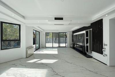 Vila individuala, 500mp, 6 camere, renovata complet, teren 1032mp, Iancu Nicolae - 3