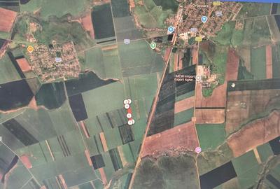 Teren agricol extravilan de 40000 mp, în Orțișoara