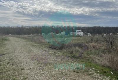 Teren Construcții intravilan de 1173 mp, în Băneasa