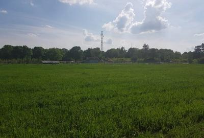 Teren Construcții intravilan de 3000 mp, în Ciolpani