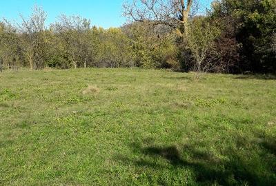 Teren intravilan în sat Făget, com. Drajna, Prahova - 7