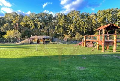 DOM00241 - Comision 0 Casa de Busteni Buncar Independenta Complet - 14