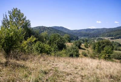 Comision0% Teren recreational 4200mp Vulcan Brasov- curent-asfalt - 10