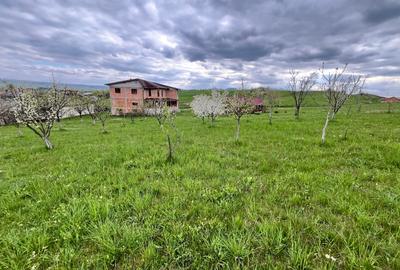 Casǎ spațioasă de vânzare  demisol, parter , etaj - 12