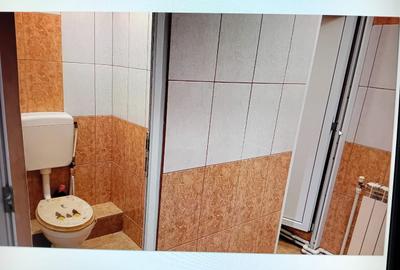 CENTRAL  SPATIU D+P+1 ,VAD, LIBER 90 MP PRET 155000 EURO - 6