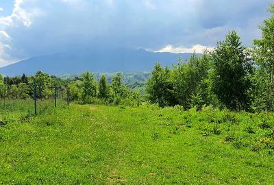 Teren Construcții extravilan de 2500 mp, în Peștera