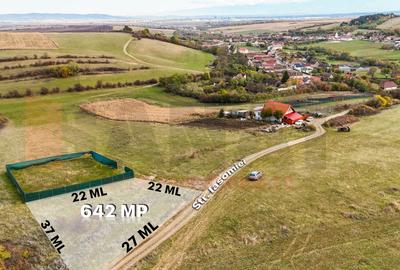 Ocazie: Teren 642mp, Rusciori, deschidere drum, zona frumoasa |SkyView - 1
