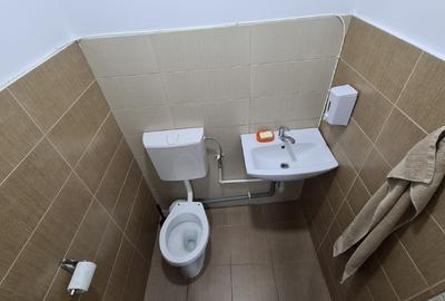 Inchiriez casa - spatiu comercial/ birouri - 4