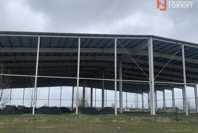 COMISION 0% Hala industriala 5500 mp utili zona de Nord Timisoara - ID V5143 - 12