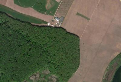 Teren agricol extravilan de 2446 mp, în Snagov