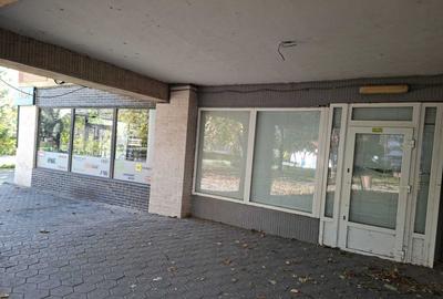 INCHIRIERE-SPATIU COMERCIAL-NICOLINA - 4
