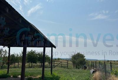 De vanzare atelier, casa si teren, Sabolciu, Bihor, Romania - 5