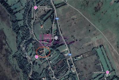 Teren intravilan 1600 mp | Valea Avrigului | zona turistica - 6