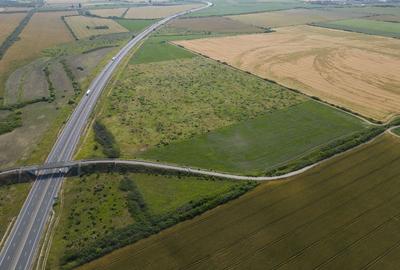 Teren 12 ha la Autostrada A1 cu PUZ aprobat - 8