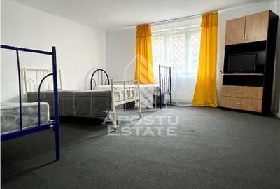 Spatii depozitare cu teren 1100 mp, zona Elisabetin - 8