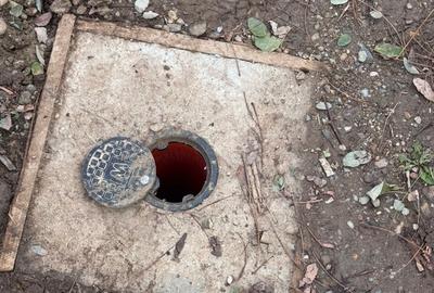 Snagov /Terenuri Parcelate langa Padure cu Utilitati/  Canalizare/ 500-2500 Mp - 8