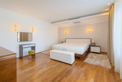 Penthouse 3 Rooms fully renovated  Nordului-Herastrau  Open View - 11