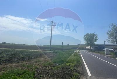 Teren intravilan/extravilan Jorasti / Strada Forturi ( principala) - 4