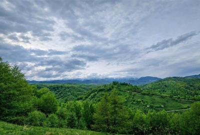 7.000 mp, pozitie spectaculoasa, fara vecini, Fundatica, Brasov - 7