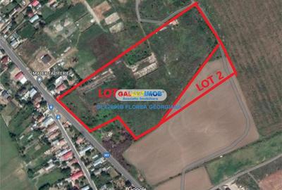 Vanzare teren 38.000 mp Tanganu Cernica - 2