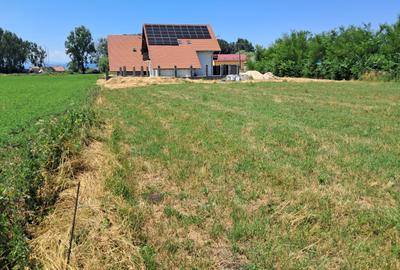 Teren de Constructii Sanpetru - 1