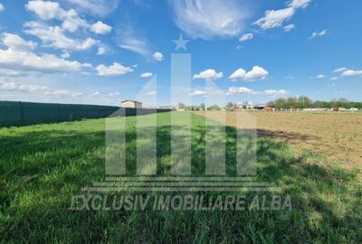 Teren extravilan | De vanzare | 2600 mp | 13.7 ml deschidere | Partos - 2