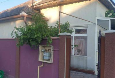 Cogealac - casa cu 3 camere, 1500 mp teren - 4